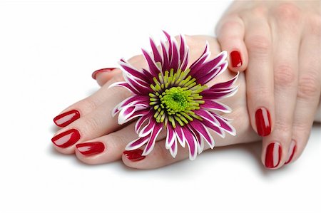 simsearch:400-06061806,k - Beautiful hand with perfect nail red manicure and violet exotic flowers. isolated on white background Stock Photo - Budget Royalty-Free & Subscription, Code: 400-04353216