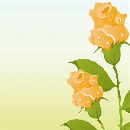 simsearch:400-04338125,k - beautiful roses background Stock Photo - Budget Royalty-Free & Subscription, Code: 400-04353563