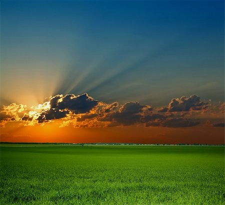 Sunrise on field. An image of green field. Stock Photo - Budget Royalty-Free & Subscription, Code: 400-04353809