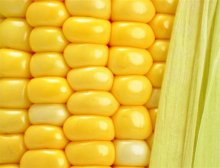 corn Stock Photo - Budget Royalty-Free & Subscription, Code: 400-04353820