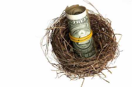 social responsibility concept - An image of roll of dollars in nest Stock Photo - Budget Royalty-Free & Subscription, Code: 400-04353888