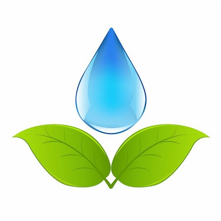 Drop Of Water With Sprout, Isolated On White Background, Vector Illustration Stock Photo - Budget Royalty-Free & Subscription, Code: 400-04364192