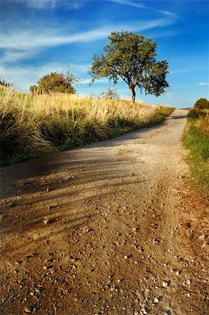 simsearch:400-08035898,k - dirt road, Slovakia Stock Photo - Budget Royalty-Free & Subscription, Code: 400-04364370