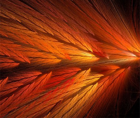 simsearch:400-04365296,k - Red and orange fractal that looks like feathered wings. Stock Photo - Budget Royalty-Free & Subscription, Code: 400-04364470