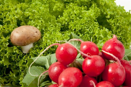 simsearch:400-05065763,k - A mushroom within a salad with a bunch of radish in the foreground. Stockbilder - Microstock & Abonnement, Bildnummer: 400-04364636