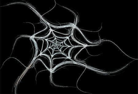simsearch:400-04365296,k - White fractal spider web design on a black background that is ideal for Halloween, Stock Photo - Budget Royalty-Free & Subscription, Code: 400-04365284
