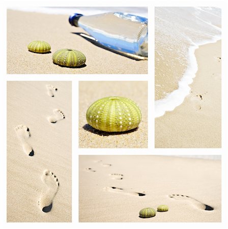 equinoideos - Collage of beach scenes with footprints and sea urchin shells Foto de stock - Super Valor sin royalties y Suscripción, Código: 400-04366048