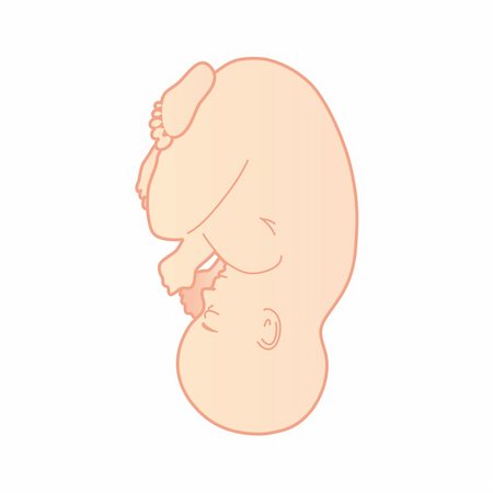 pregnancy illustrations - baby Stock Photo - Budget Royalty-Free & Subscription, Code: 400-04366513