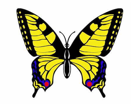 swallowtail butterfly - vector drawing butterfly swallowtail on white background Stock Photo - Budget Royalty-Free & Subscription, Code: 400-04367603