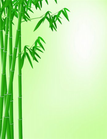 Bamboo tree background Stock Photo - Budget Royalty-Free & Subscription, Code: 400-04367636