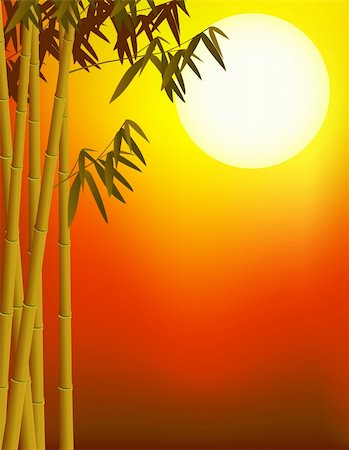 Bamboo tree background Stock Photo - Budget Royalty-Free & Subscription, Code: 400-04367638