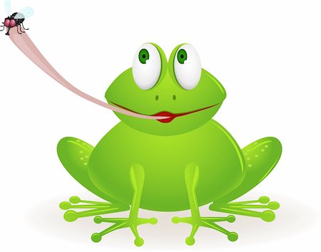 vector illustration of cute green frog catch fly Stock Photo - Budget Royalty-Free & Subscription, Code: 400-04367642