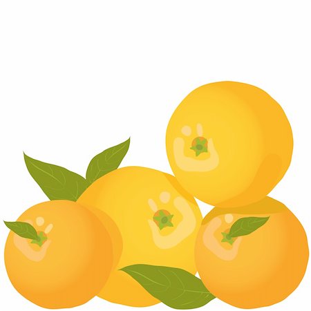 simsearch:400-05316300,k - some ripe yummy vector oranges on white background Stock Photo - Budget Royalty-Free & Subscription, Code: 400-04368351
