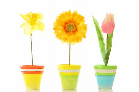 happy spring flowers isolated on white background Stock Photo - Budget Royalty-Free & Subscription, Code: 400-04368596