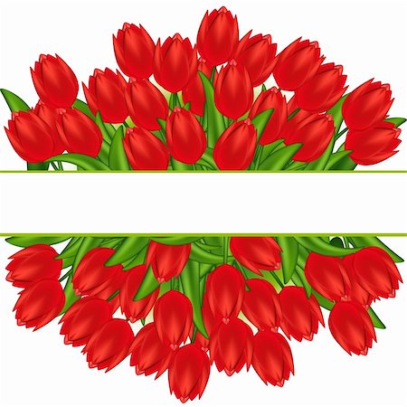 simsearch:400-06095720,k - Vector illustration of red tulips. Gradient meshes. Stock Photo - Budget Royalty-Free & Subscription, Code: 400-04368999