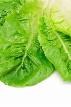 romaine lettuce leaf - Leaves of romaine lettuce on white background Stock Photo - Budget Royalty-Free & Subscription, Code: 400-04360333