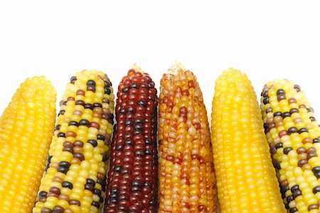 Close up of dried Indian corns on white background Stockbilder - Microstock & Abonnement, Bildnummer: 400-04360457