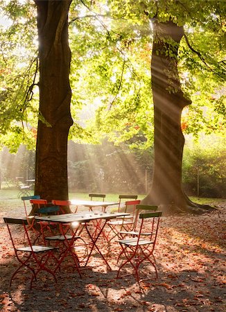 sunbeams filtered through leaves Fotografie stock - Microstock e Abbonamento, Codice: 400-04360931