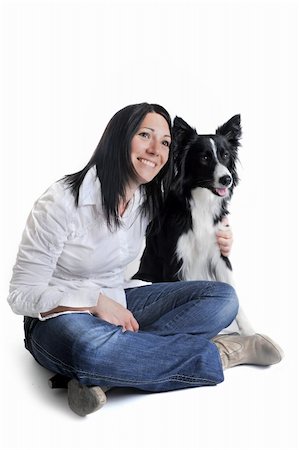 portrait of purebred border collie in front of white background Stock Photo - Budget Royalty-Free & Subscription, Code: 400-04361717