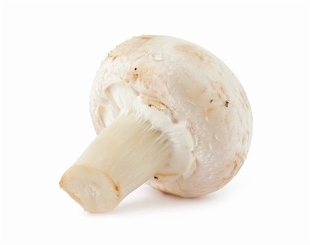 simsearch:400-05305223,k - single mushroom isolated on a white background Stock Photo - Budget Royalty-Free & Subscription, Code: 400-04361851