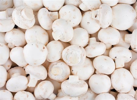 simsearch:400-07430898,k - Background of fresh whole mushrooms champignon, closeup Stockbilder - Microstock & Abonnement, Bildnummer: 400-04361852