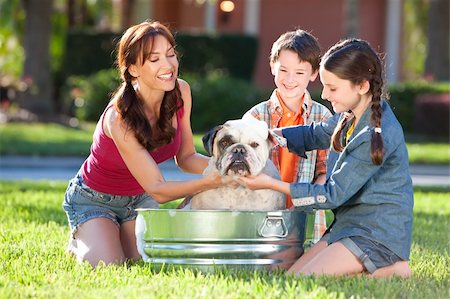 pet washing - A beautiful mother, son and daughter family washing their pet dog, a bulldog outside in a metal tub. Stock Photo - Budget Royalty-Free & Subscription, Code: 400-04362359