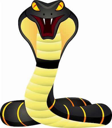 fang - Vector illustration of king cobra Photographie de stock - Aubaine LD & Abonnement, Code: 400-04362551