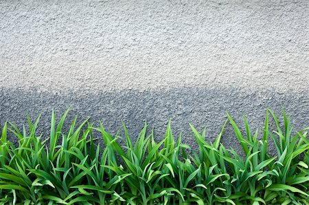 Green grass against a grey  wall Stock Photo - Budget Royalty-Free & Subscription, Code: 400-04362996