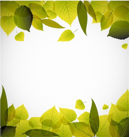 Spring leafs abstract background with place for your text Stock Photo - Budget Royalty-Free & Subscription, Code: 400-04363052