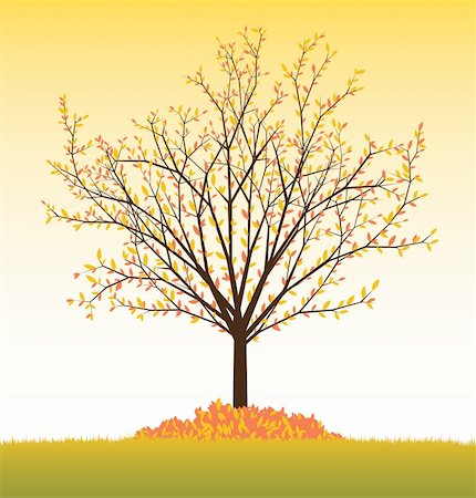 simsearch:400-05901134,k - Vector illustration of fall season tree with orange and yellow leaves on orange gradient background; easy to edit. Stock Photo - Budget Royalty-Free & Subscription, Code: 400-04375306