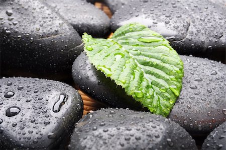 simsearch:400-04640528,k - zen stone with green leaf or water drops showing spa or wellness concept Stock Photo - Budget Royalty-Free & Subscription, Code: 400-04376307
