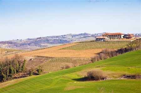 Charming Italian villa in Monferrato area (Piemonte region, north Italy) during spring season Stock Photo - Budget Royalty-Free & Subscription, Code: 400-04376728