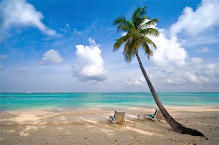 endhals (artist) - beach, sea and coconut palm tree with deck chair Fotografie stock - Microstock e Abbonamento, Codice: 400-04378137