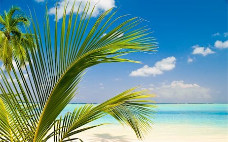 simsearch:841-08211696,k - Beautiful tropical beach Stockbilder - Microstock & Abonnement, Bildnummer: 400-04378156