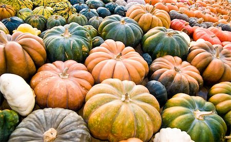 simsearch:400-04008520,k - different kinds of pumpkins as a seasonal fall decoration Stock Photo - Budget Royalty-Free & Subscription, Code: 400-04378240