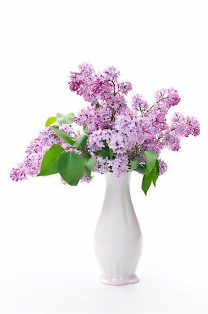 Lilac flower in vase Stock Photo - Budget Royalty-Free & Subscription, Code: 400-04378436