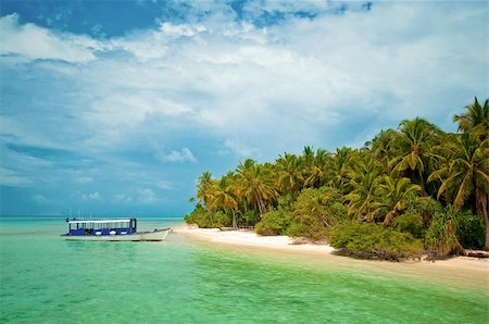 Tropical Beach Photographie de stock - Aubaine LD & Abonnement, Code: 400-04378515