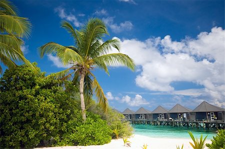 endhals (artist) - Tropical Beach with view to water bungalows Fotografie stock - Microstock e Abbonamento, Codice: 400-04378520