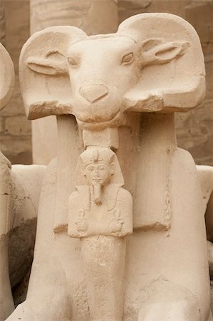 simsearch:841-03066642,k - Ram headed sphinx at Karnak Temple in Luxor Photographie de stock - Aubaine LD & Abonnement, Code: 400-04378924