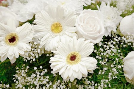 simsearch:400-07179442,k - Background of a bouquet of white flowers - chrysanthemums and roses Stock Photo - Budget Royalty-Free & Subscription, Code: 400-04379327