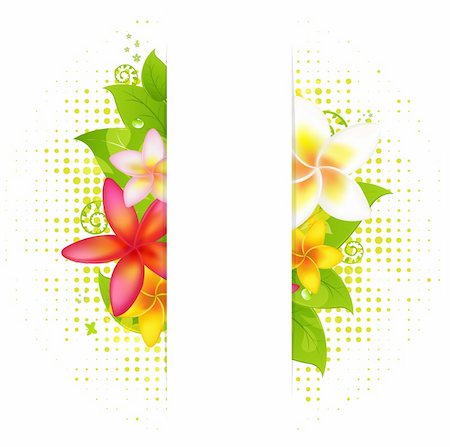 plumeria - Natural Background With Flower, Vector Illustration Photographie de stock - Aubaine LD & Abonnement, Code: 400-04379455