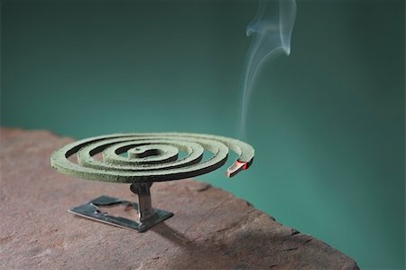 sin pesticida - Mosquito coil is mosquito-repelling incense, usually shaped into a spiral, and typically made from a dried paste of pyrethrum  powder. Foto de stock - Super Valor sin royalties y Suscripción, Código: 400-04379660