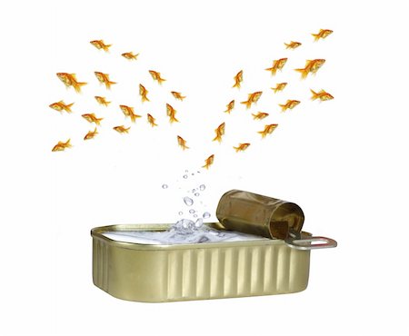 fish in box - jumping out shoal of fish from water Stock Photo - Budget Royalty-Free & Subscription, Code: 400-04379953
