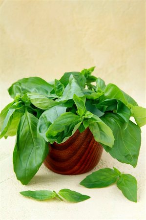 simsearch:400-04418942,k - green fresh basil in a wooden bowl Stockbilder - Microstock & Abonnement, Bildnummer: 400-04370491