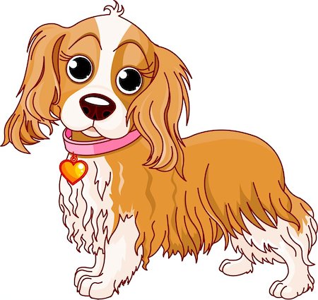 Illustration of Cavalier King Charles Spaniel Stock Photo - Budget Royalty-Free & Subscription, Code: 400-04370545