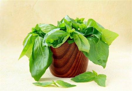 simsearch:400-05919877,k - green fresh basil in a wooden bowl Stock Photo - Budget Royalty-Free & Subscription, Code: 400-04371065