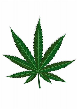 Cannabis leaf. On a white background depicts a green leaf of hemp. Stock Photo - Budget Royalty-Free & Subscription, Code: 400-04372155