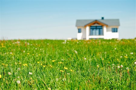 Meadow and clear sky with Family House Stockbilder - Microstock & Abonnement, Bildnummer: 400-04372278
