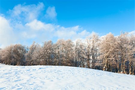 simsearch:400-05713513,k - October mountain beech forest edge and first winter snow Stock Photo - Budget Royalty-Free & Subscription, Code: 400-04373081