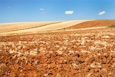 paolikphoto (artist) - Plowed farmland Stock Photo - Budget Royalty-Free & Subscription, Code: 400-04385140